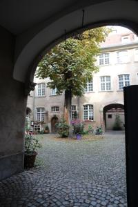 un arco que conduce a un patio con un árbol en Les Dentelles - Appartement meublé design Petite France, en Estrasburgo