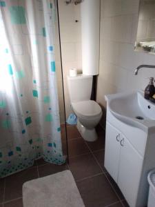 a bathroom with a toilet and a sink at Vila FiDa in Gornja Toplica +18 photos