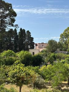 Příroda nedaleko vily