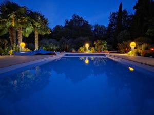 a swimming pool at night with palm trees at Balichéri in Varaignes