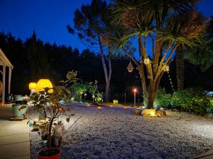 a garden at night with palm trees and lights at Balichéri in Varaignes +10 photos