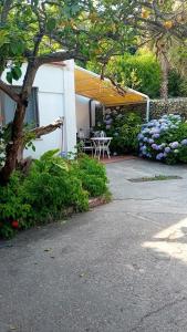 a patio with a tent and a table and flowers at La Dracena in Ischia +5 photos