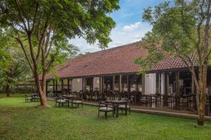Zahrada ubytování SigiriyaJungles Resort & Spa