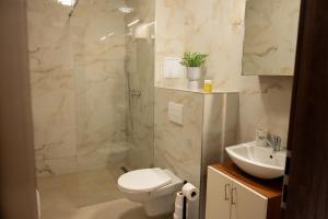 a bathroom with a shower and a toilet and a sink at Villa Dunaj 2 in Dunajská Streda +30 photos