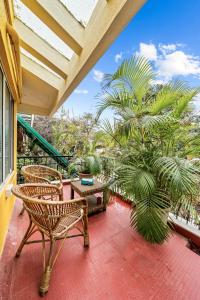 un patio extérieur avec des chaises et un palmier dans l'établissement Vintage Haven Leafy Getaway Luxury Villa in Indiranagar by Spacez, à Bangalore 55 autres photos