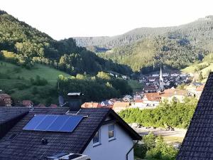 Příroda nedaleko apartmánu