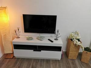 TV a/nebo společenská místnost v ubytování Ferienwohnung Hilde