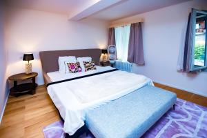 Letto o letti in una camera di Hotel Lakeview bei Interlaken