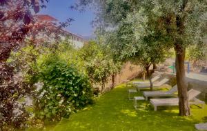 a row of benches in a park with trees and grass at Casa Tua - Countryhouse- in Sorrento +17 photos