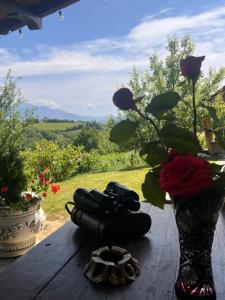 Příroda nedaleko chaty