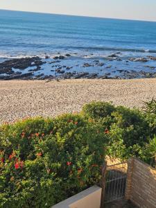 a view of a beach with flowers and the ocean at SEEMEEU in Jeffreys Bay