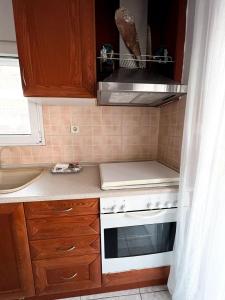 Afbeelding uit fotogalerij van Elsa's Sea Home in Fanárion +23 foto's