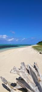 un morceau de bois dérivant sur une plage de sable dans l'établissement La VILLA ANKARENA Dans un domaine forestier tropical, PROPRIÉTÉ ENTIÈRE avec PISCINE PRIVEE, Wifi, TV Plage à 5 minutes à pieds, sur l'île Sainte-Marie