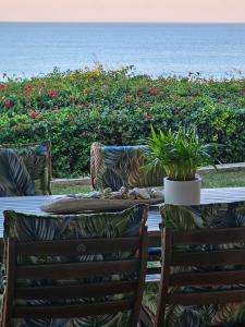 a table with two chairs and a table with plants at SEEMEEU in Jeffreys Bay