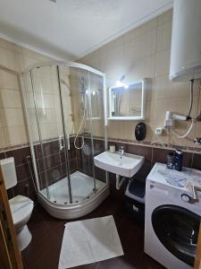 a bathroom with a shower and a sink and a toilet at Apartman Behar in Sarajevo