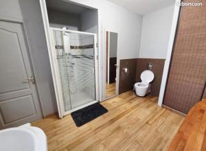 a bathroom with a shower and a toilet in it at La Quarantaine in Quarante