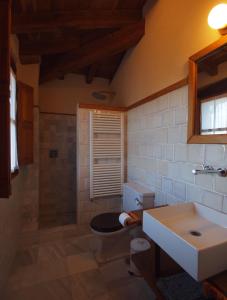 a bathroom with a toilet and a sink at La Casuca de Margot in Agüero