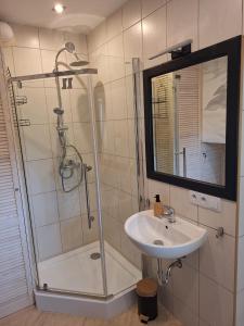 a bathroom with a shower and a sink at Apartament Pod Malnikiem in Muszyna +2 photos