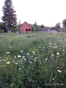 Vonkajšia záhrada v ubytovaní Domek nad Potokiem
