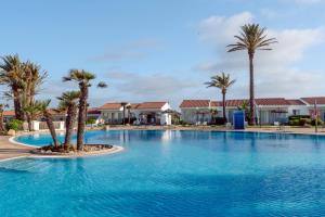 a large swimming pool with palm trees and houses at AluaSun Mediterráneo in S'Algar