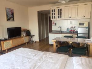 Kuchyň nebo kuchyňský kout v ubytování Apartment Champs Elysees