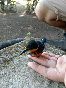 Φωτογραφία από το άλμπουμ του Cabinas zancudo σε Golfito