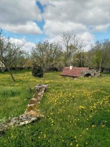an old house in a field of flowers at Maison de campagne au Touleyrou in Issendolus
