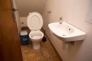Turistická ubytovna Centrum Pastvinská přehrada في Nekoř: حمام مع مرحاض ومغسلة +صورة واحدة