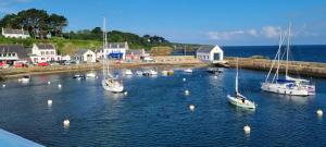 Un grupo de barcos están atracados en un puerto en Auberge de Jeunesse HI Belle-Île-en-Mer, en Le Palais