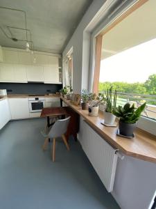 Η κουζίνα ή μικρή κουζίνα στο Apartment w stylu loft