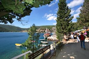 a group of people standing near a body of water at Apartment Amalia in Labin