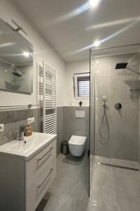 a bathroom with a shower and a sink and a toilet at Apartments and rooms with parking space Starigrad, Paklenica - 24535 in Starigrad-Paklenica