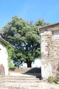 a tree in front of a stone building with stairs at La vallée de Gaïa in Saint-Hilaire-de-Lavit