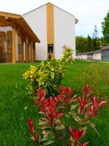 O grădină în afara Nadesa - Mountain View Villas