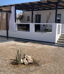 a house with a cactus in the middle of a yard at Mazi stin Io in Ios Chora