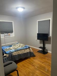 Un dormitorio con una cama y un televisor de pantalla plana. en The Vibe Vault, en Hillside