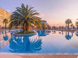 un palmier au milieu d'une piscine dans l'établissement GG LuxLiving at Panorama Beach, à Batoumi