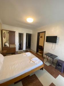 TV a/nebo společenská místnost v ubytování Hotel Ritsa