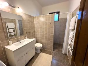 a bathroom with a white sink and a toilet at Harvest House Transylvania  +43 photos