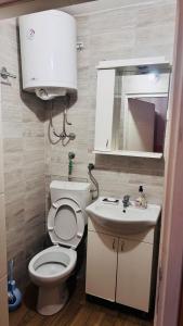 Un baño con inodoro, lavabo y espejo. en Apartment Balkan, en Belgrado