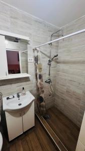 Un baño con ducha, lavabo e inodoro. en Apartment Balkan, en Belgrado