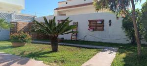 a palm tree in a yard next to a house at Summer Rooms Caucana in Punta Secca +10 photos