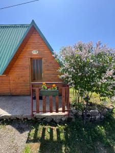 Zahrada ubytování Guesthouse Nedajno