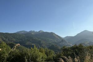 auliculiculiculiculiculiculiculiculiculiculiculiculiculiculiculiculiculiculiculiculiculic en Maripetra B&B, en Sangineto 16 fotos más