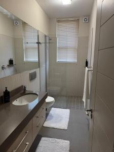 a bathroom with a sink and a shower and a toilet at Suite Vos in Hermanus +37 photos