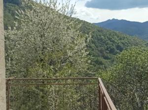 Peisaj natural din apropierea acestei case de vacanță +14 fotografii