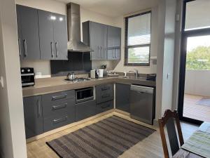 a kitchen with gray cabinets and a sink at Suite Vos in Hermanus