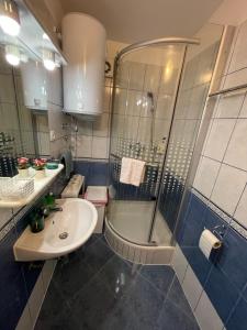 Koupelna v ubytování Apartmens and Rooms Madunic V