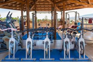 Posilňovňa alebo fitness centrum v ubytovaní Gaia Garden
