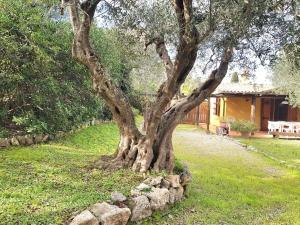 Zahrada ubytování Casa Fiordaliso